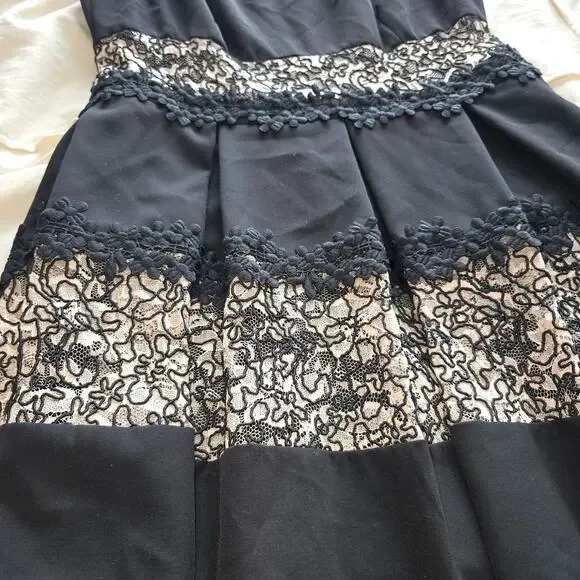 Tahari L32016 Women's Black Lace Zipper Stripe Fit Flare Cocktail Dress Size 10P - Picture 8 of 10